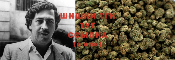 гидра Киреевск