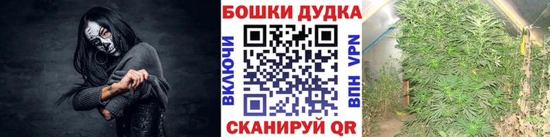 Каннабис семена  Купить где  Вичуга 